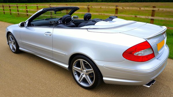 What Makes Owning a UK Pet Special Compared to Other Countries?